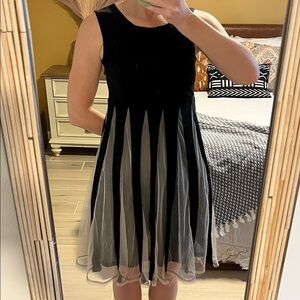 Vintage Black Sleeveless A-Line Dress with Sheer Panel Skirt